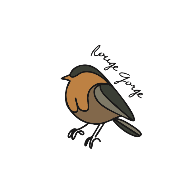 Rouge gorge - gite du champ des oiseaux