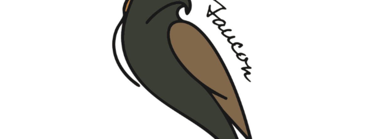 7 Faucon - gite du champ des oiseaux