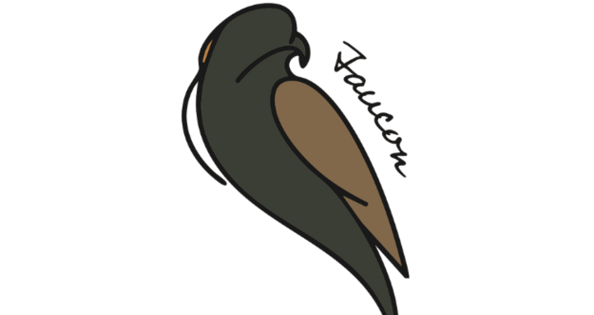 7 Faucon - gite du champ des oiseaux
