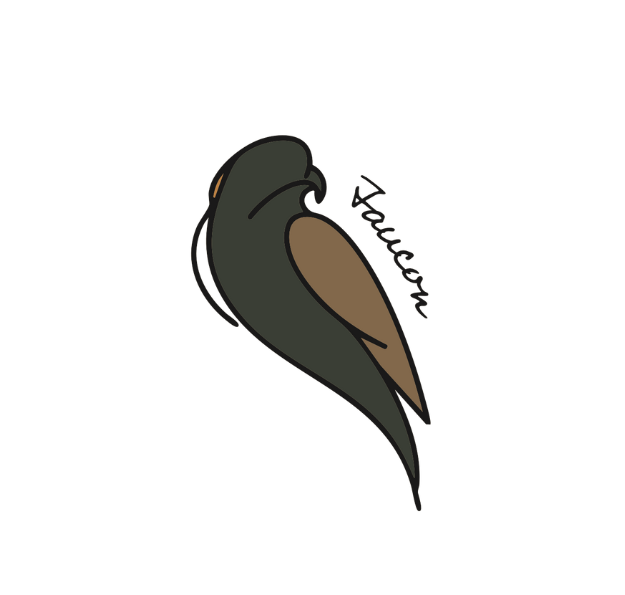 Faucon - gite du champ des oiseaux