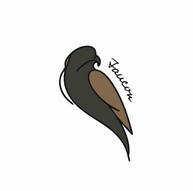 7 Faucon - gite du champ des oiseaux