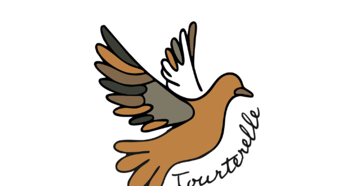 Tourterelle - gite du champ des oiseaux Tourterelle - gite du champ des oiseaux