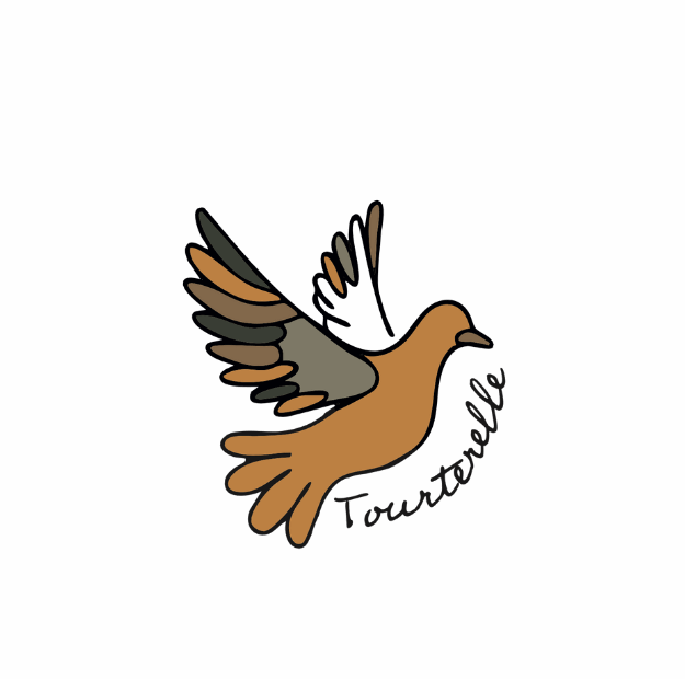 Tourterelle - gite du champ des oiseaux Tourterelle - gite du champ des oiseaux