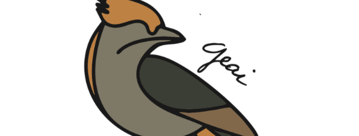 Geai - gite du champ des oiseaux Geai - gite du champ des oiseaux